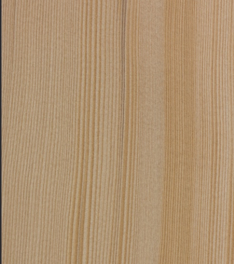 Hemlock